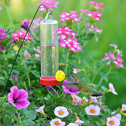 Hanging Basket Hummingbird Feeder