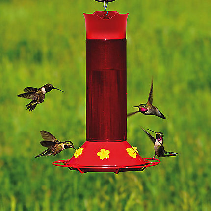 HUMMERS FAVORITE FEEDER