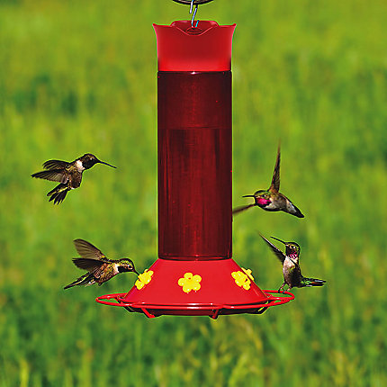 HUMMERS FAVORITE FEEDER