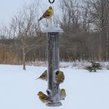 DELUXER EASY CLEAN BIRD FEEDER