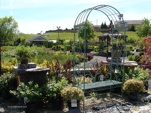 GREEN PLANTS RETAIL