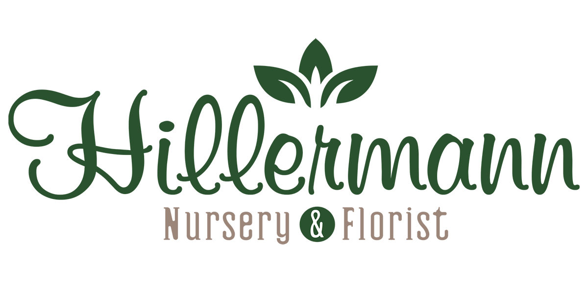 Shop Hillermann Nursery