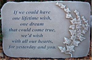 IF WE COULD HAVE ONE WISH/STONE