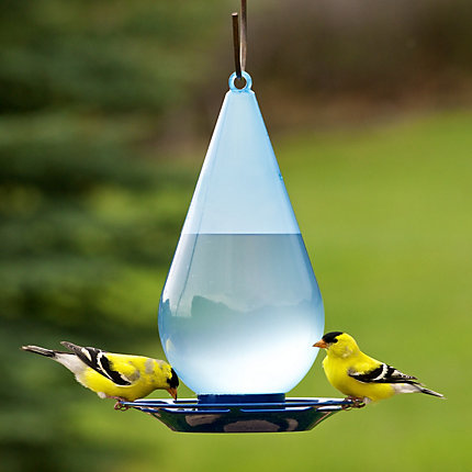 H2O DROPLET BIRD WATERER