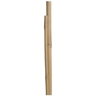 12PK 4' BAMBOO STAKES