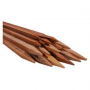 5PK 2' HARDWOOD STAKE