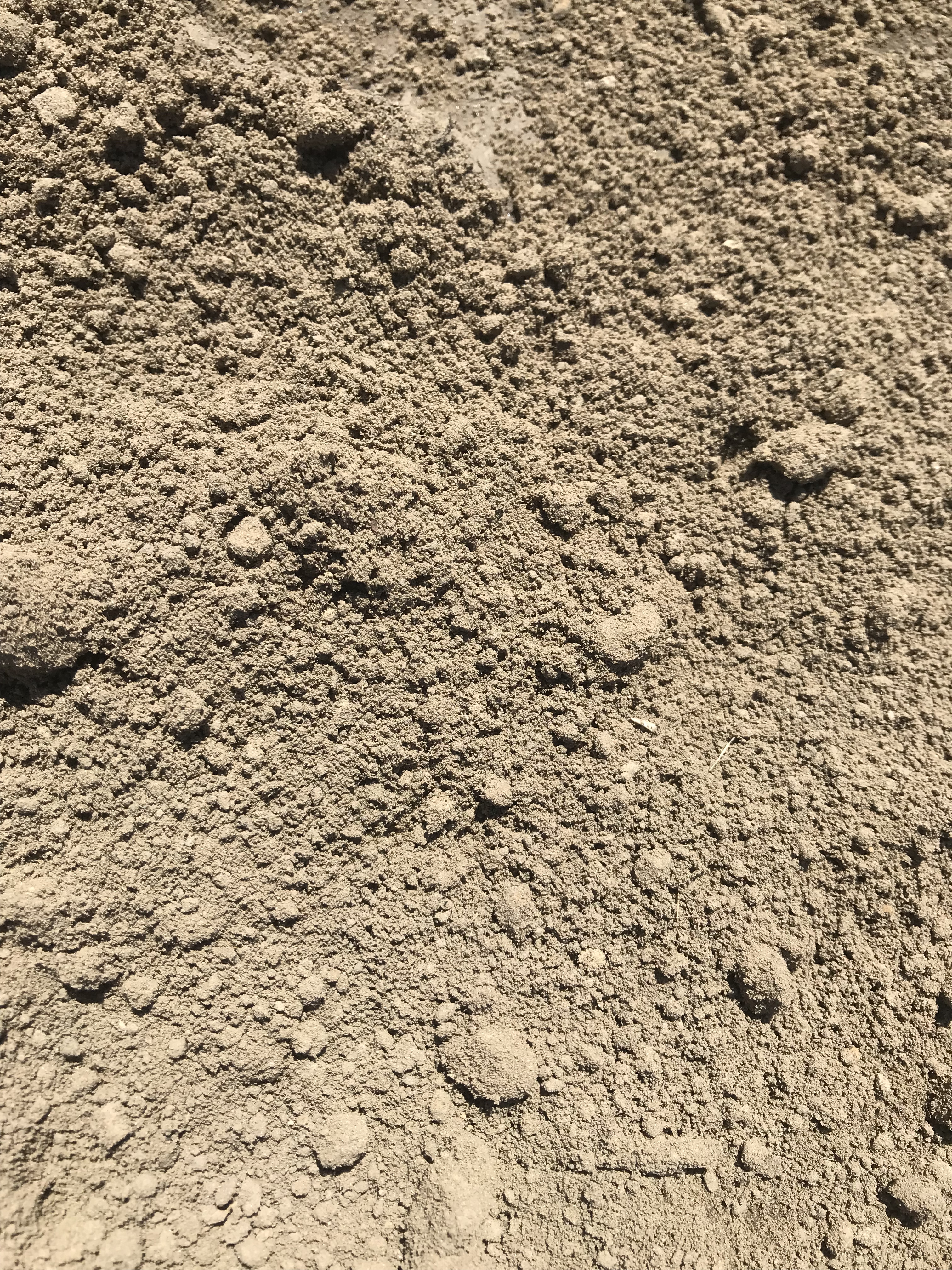 TOPSOIL BULK
