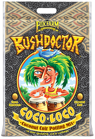 BUSH DOCTOR COCO LOCO 2 CF