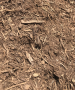  HARDWOOD MULCH - BARK FIBER