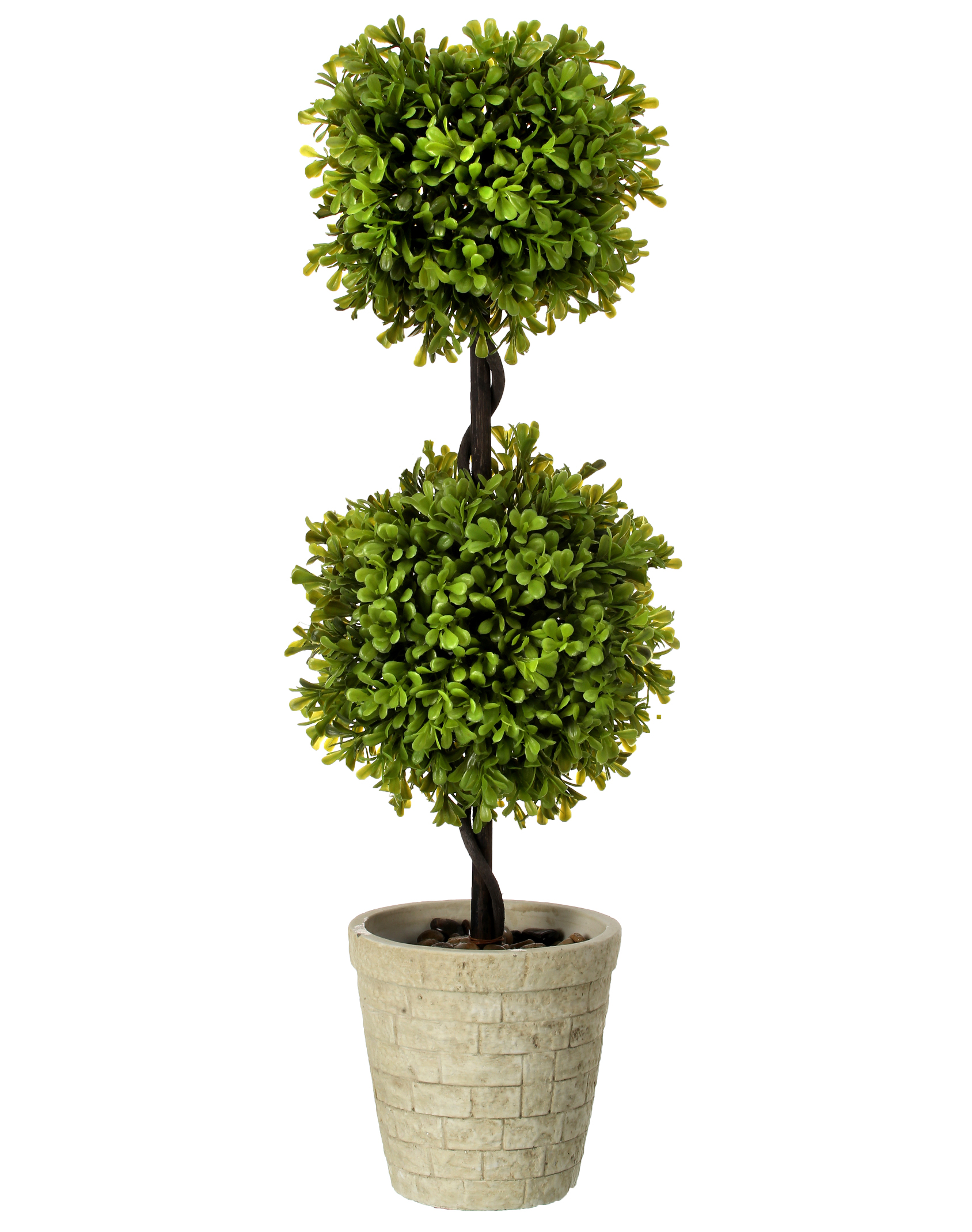 24" DBL BALL BOXWOOD TOPIARY