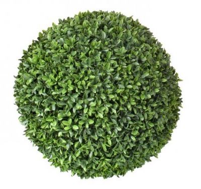 AMERICAN BOXWOOD BALL-16"