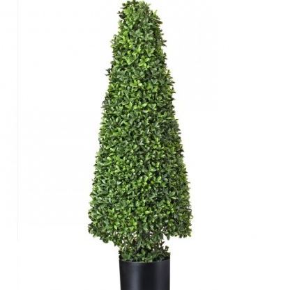 AMERICAN BOXWOOD CONE-37"