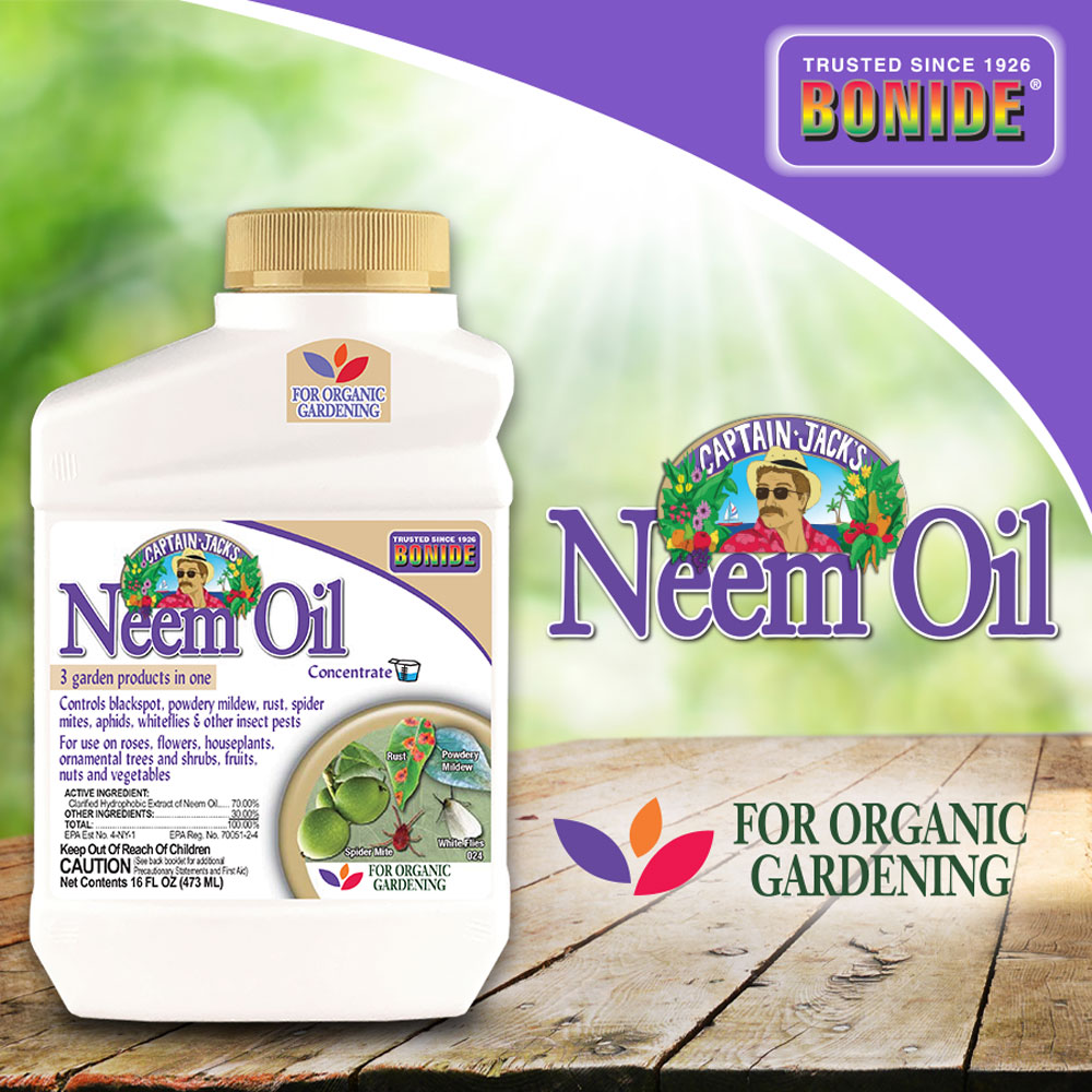 NEEM OIL CONC 16 OZ BONIDE