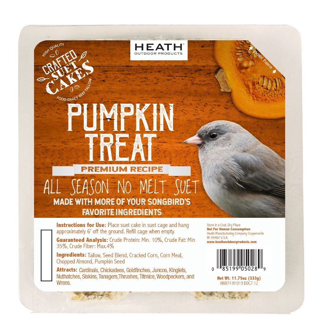 PUMPKIN TREAT SUET CAKE