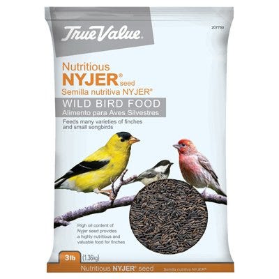 Nyjer Seed