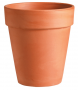 4" TC TALL POT