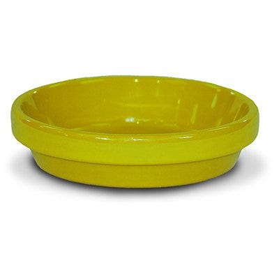 8" YELLOW SAUCER