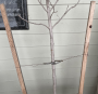 TREE STAKE KIT/ TREE WRAP