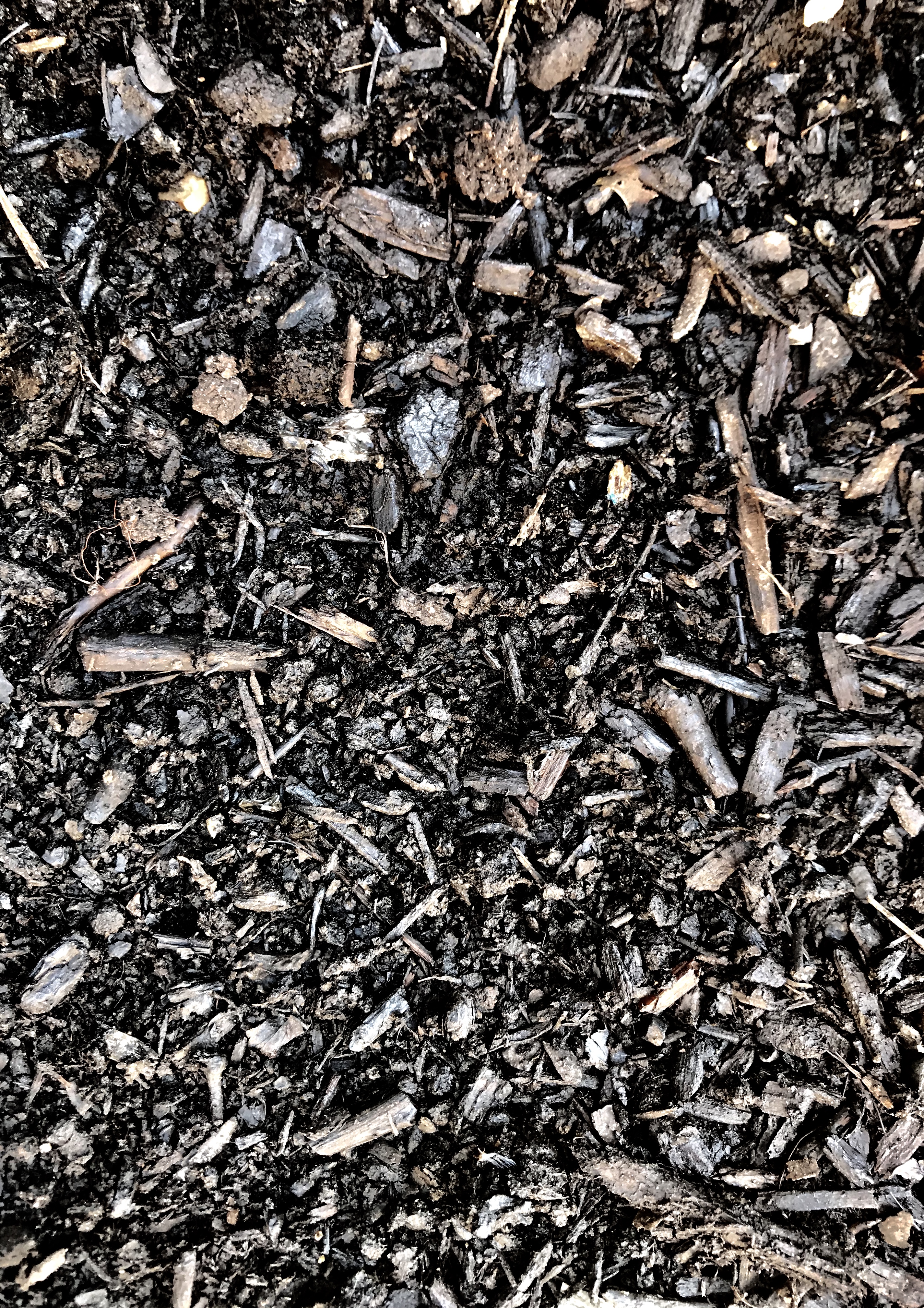 BLACK GOLD COMPOST- STL COMPOSTING