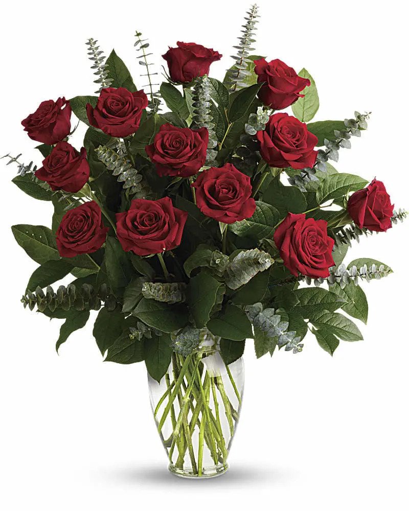 DOZEN RED ROSES