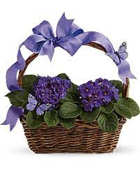 VIOLETS/BUTTERFLY PLANT BASKET