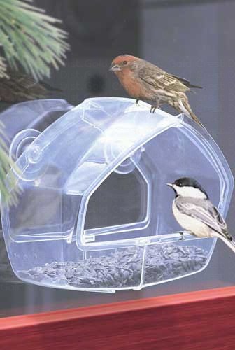 CLEAR WINDOW FEEDER