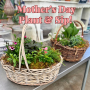 Mother's Day Plant & Sip - May 11th, 2024
