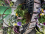 Easter Basket Dish Garden - April 19th, 2025