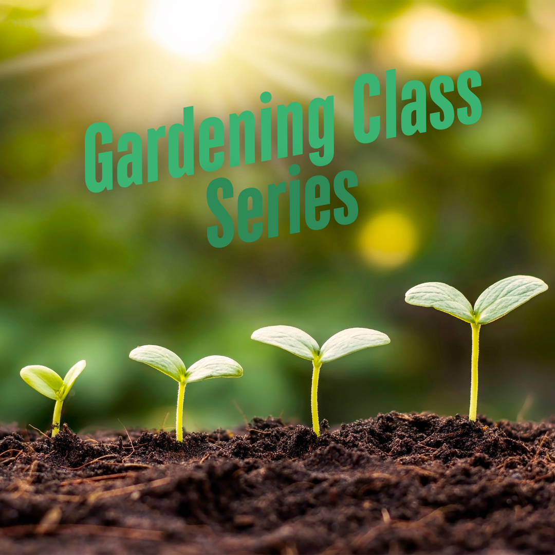 Pest Prevention in the Garden - May 17th, 2025