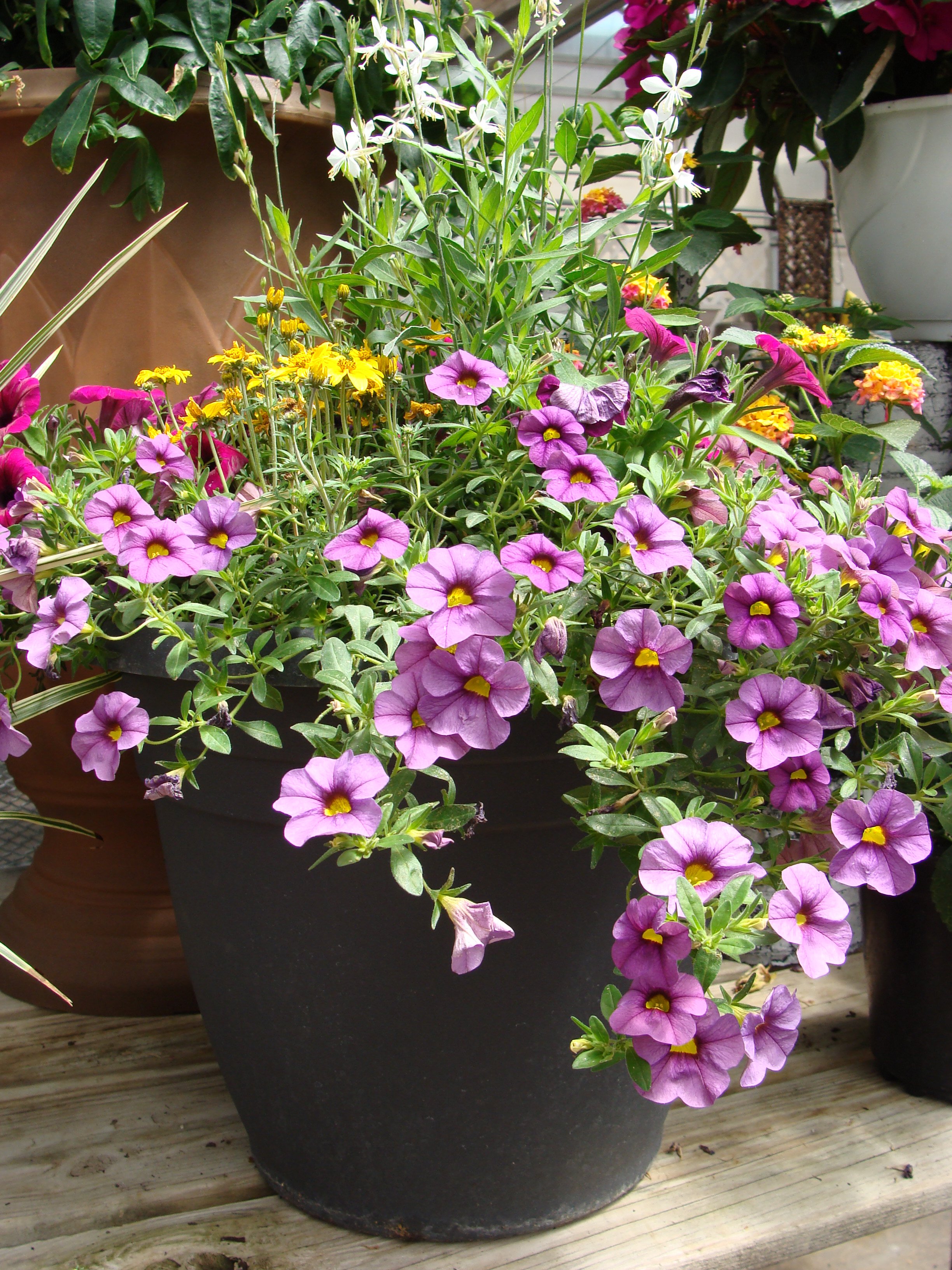 Custom Porch Pot - May 31st, 2025