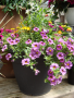 Custom Porch Pot - May 31st, 2025