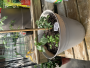 Patio Salsa Garden - May 24th, 2025