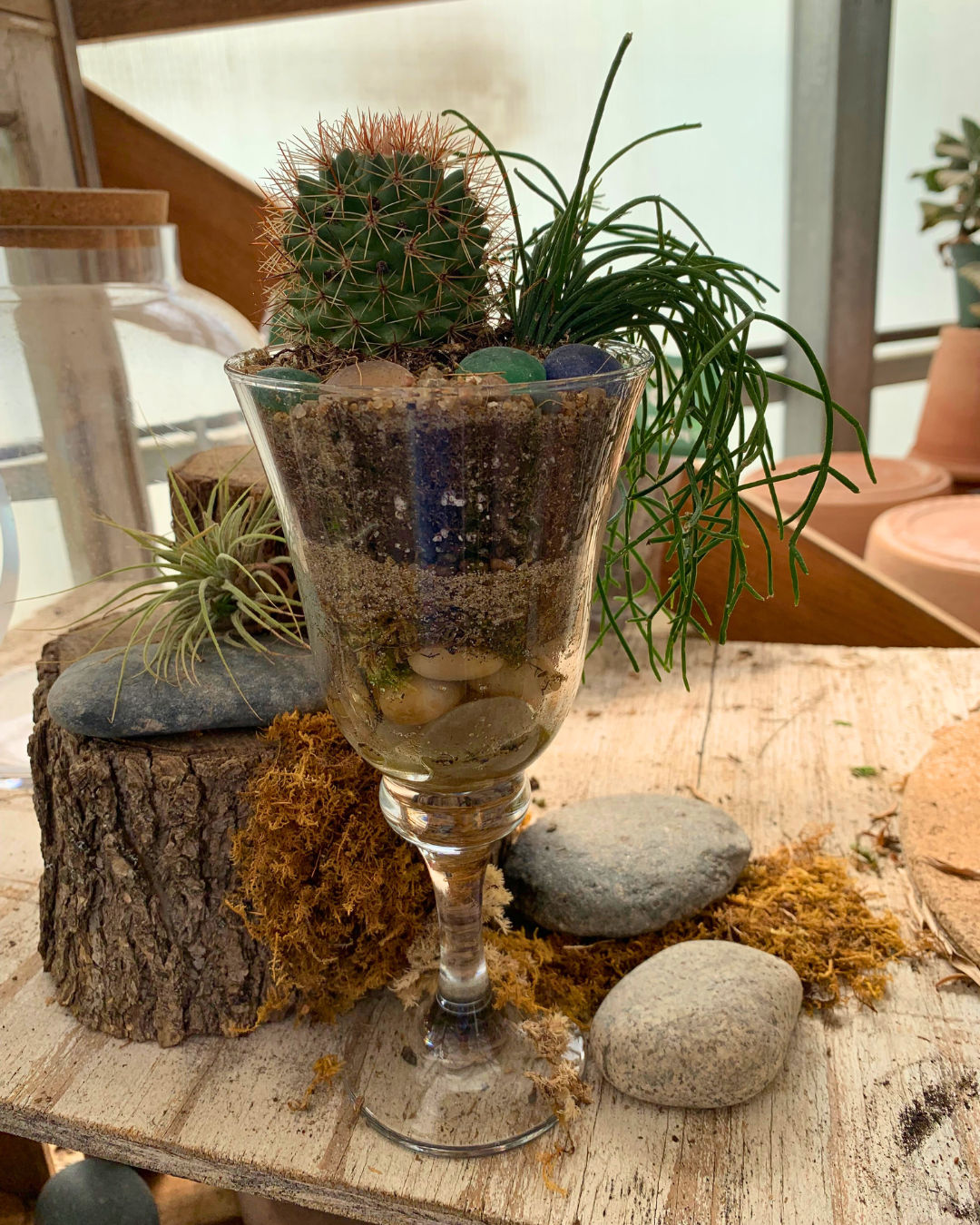 On The Rocks Succulent Planter - August 9th, 2025