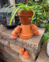Plant Buddy - August 16th, 2025