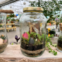 Gallon Jar Terrarium - August 2nd, 2025