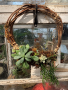 Living Succulent Wreath - September 6th, 2025