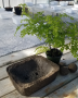 Hypertufa Pot - October 25th, 2025