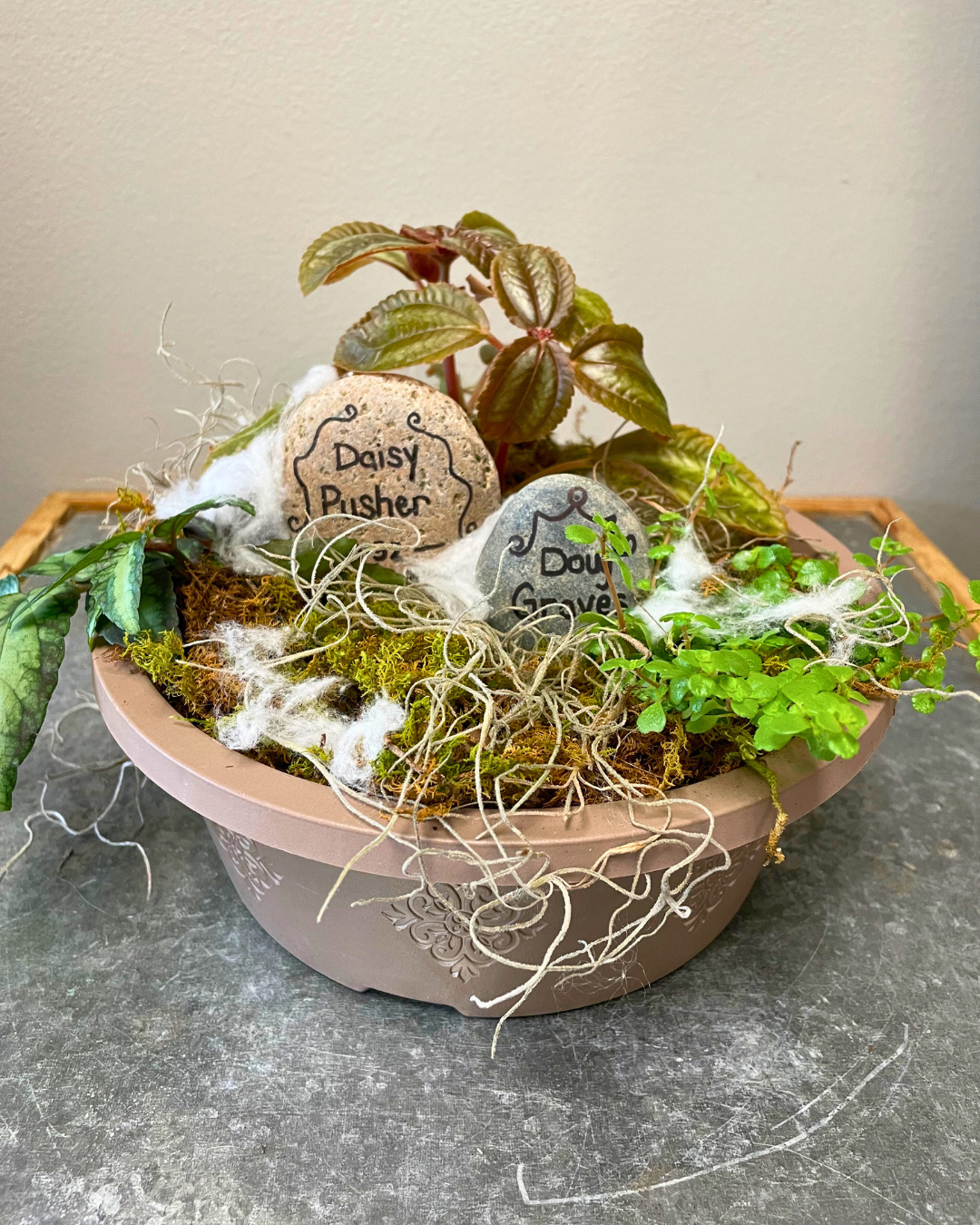 HALLOWEEN CLASS GRAVEYARD PLANT