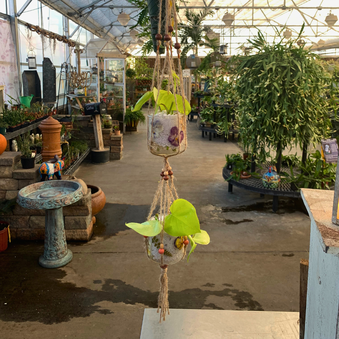Hanging Propagation Station -  November 15(10:00 am)