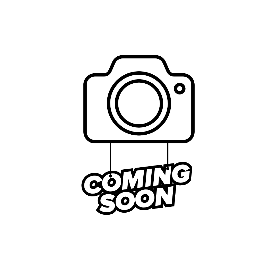 Pine Cone Bird Feeders - December 6th (2:00PM-4:00PM)