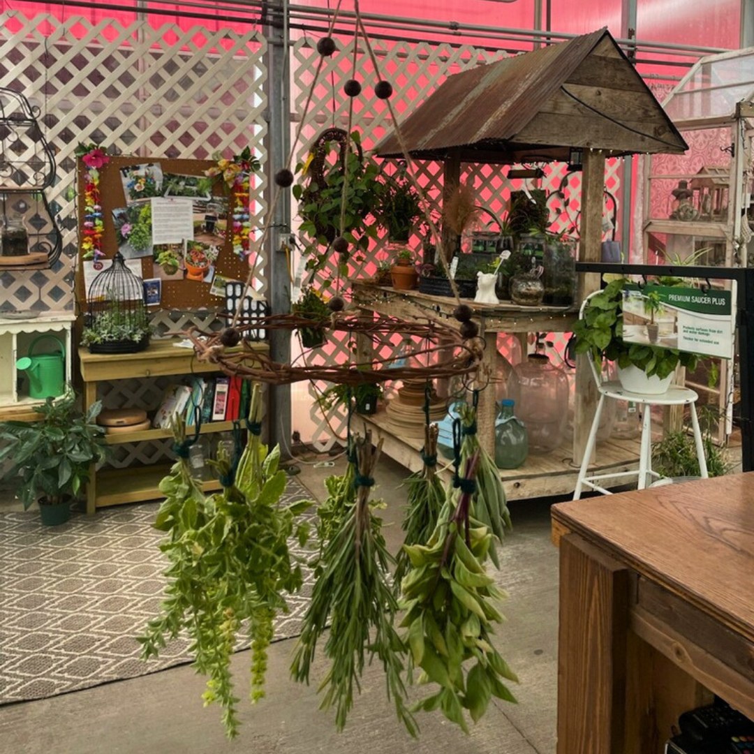 August 15 (Sat): Flower & Herb Drying Rack - (11:00 am)