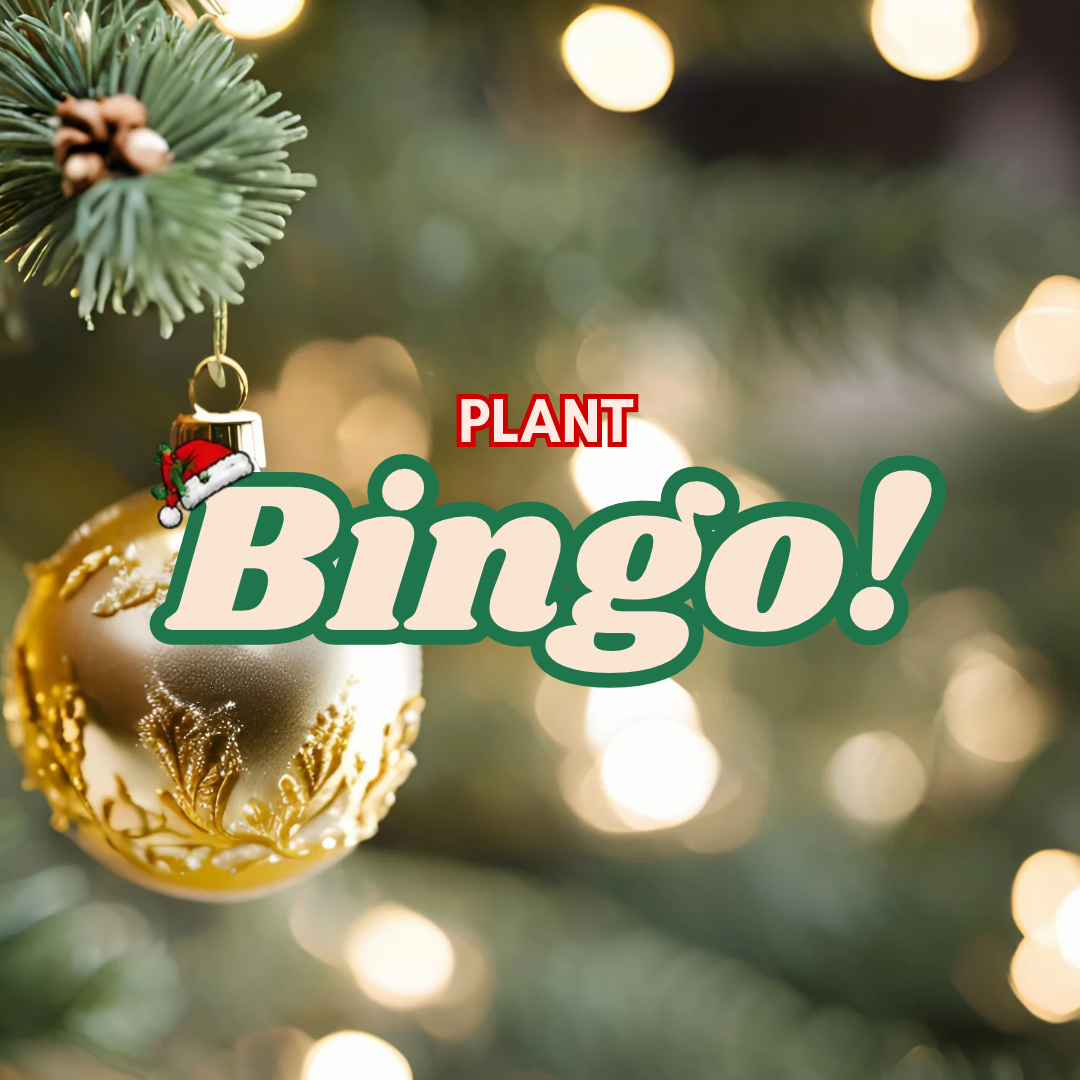 Plant Bingo Party on Friday, 11/20/26 from 5:00-7:00 pm