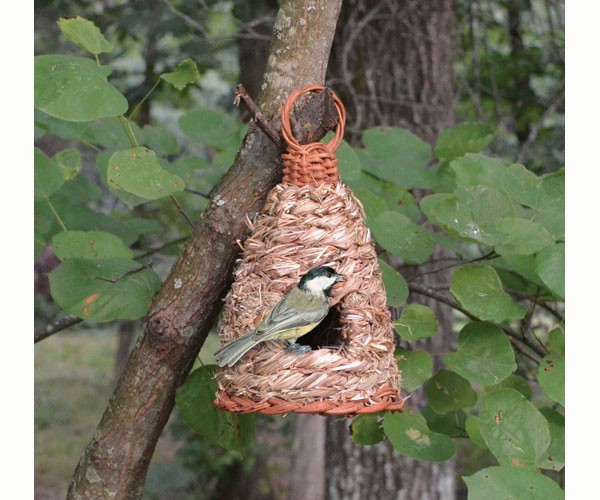 HIVE ROOSTING POCKET