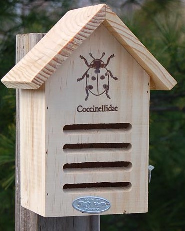 9" WOOD LADY BUG HOUSE